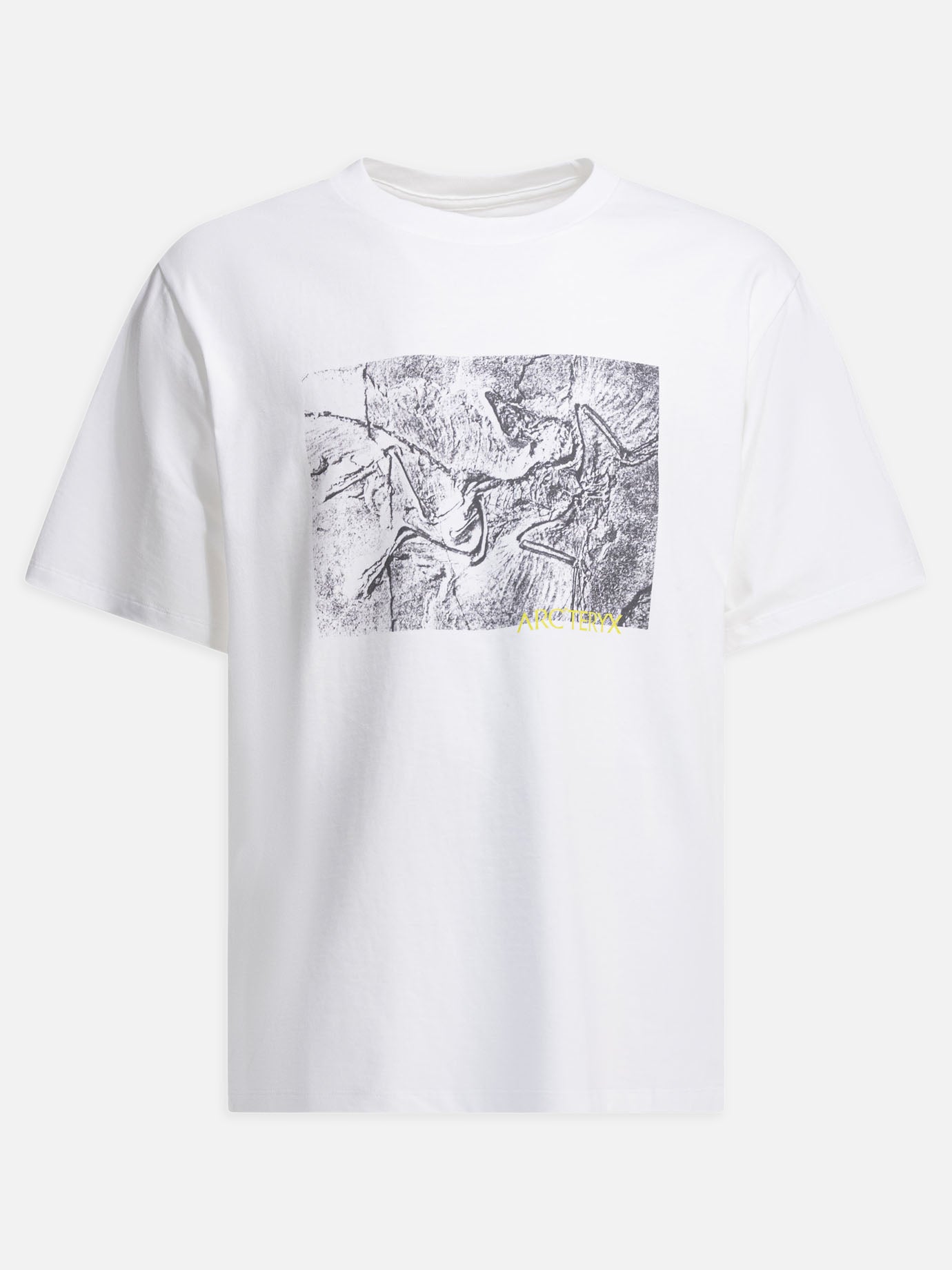 Crewneck t-shirts Graphics  White - Arc'teryx Men | PDP | VIETTI Online Store | thumbnail