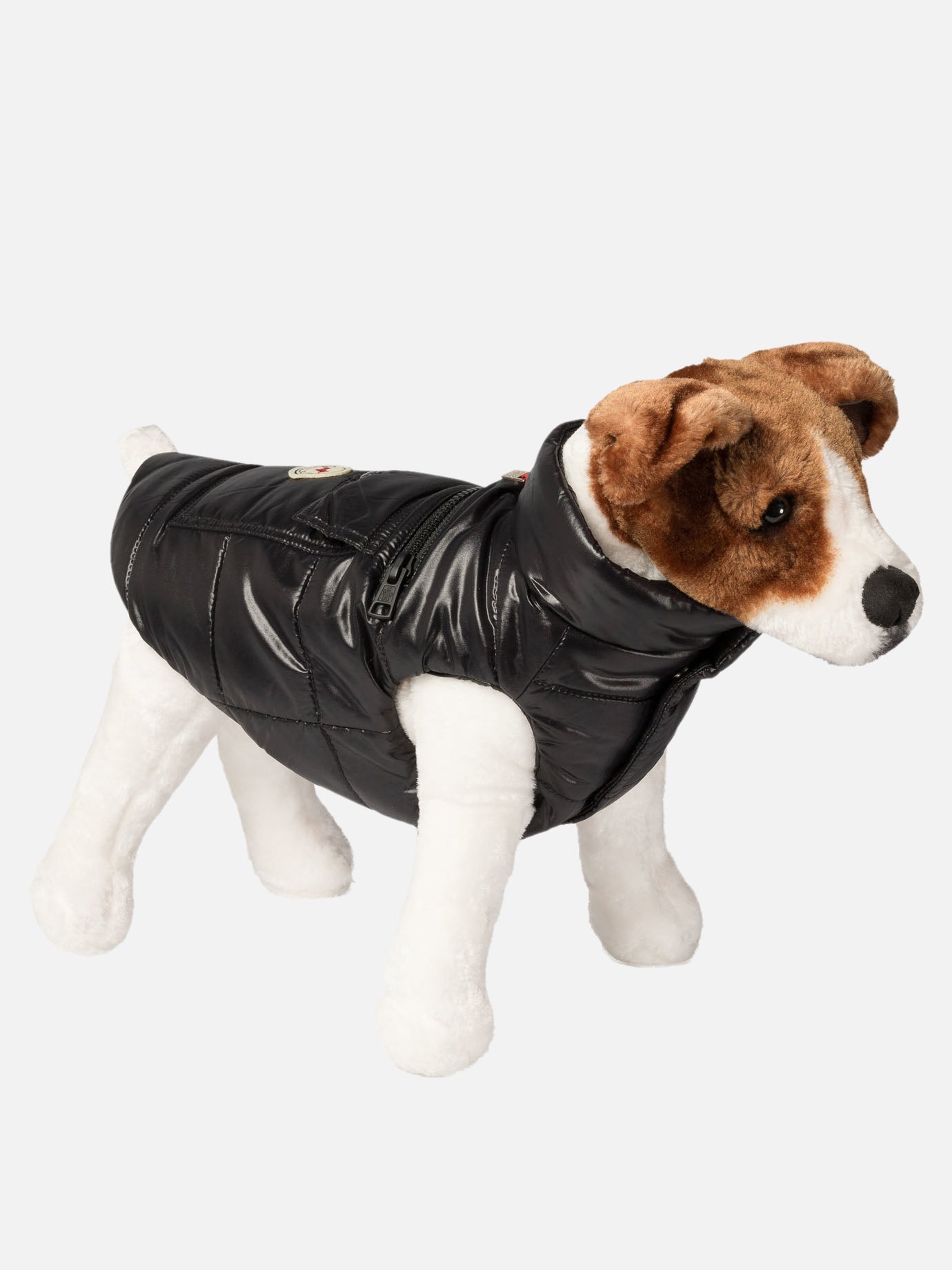 Dog vest