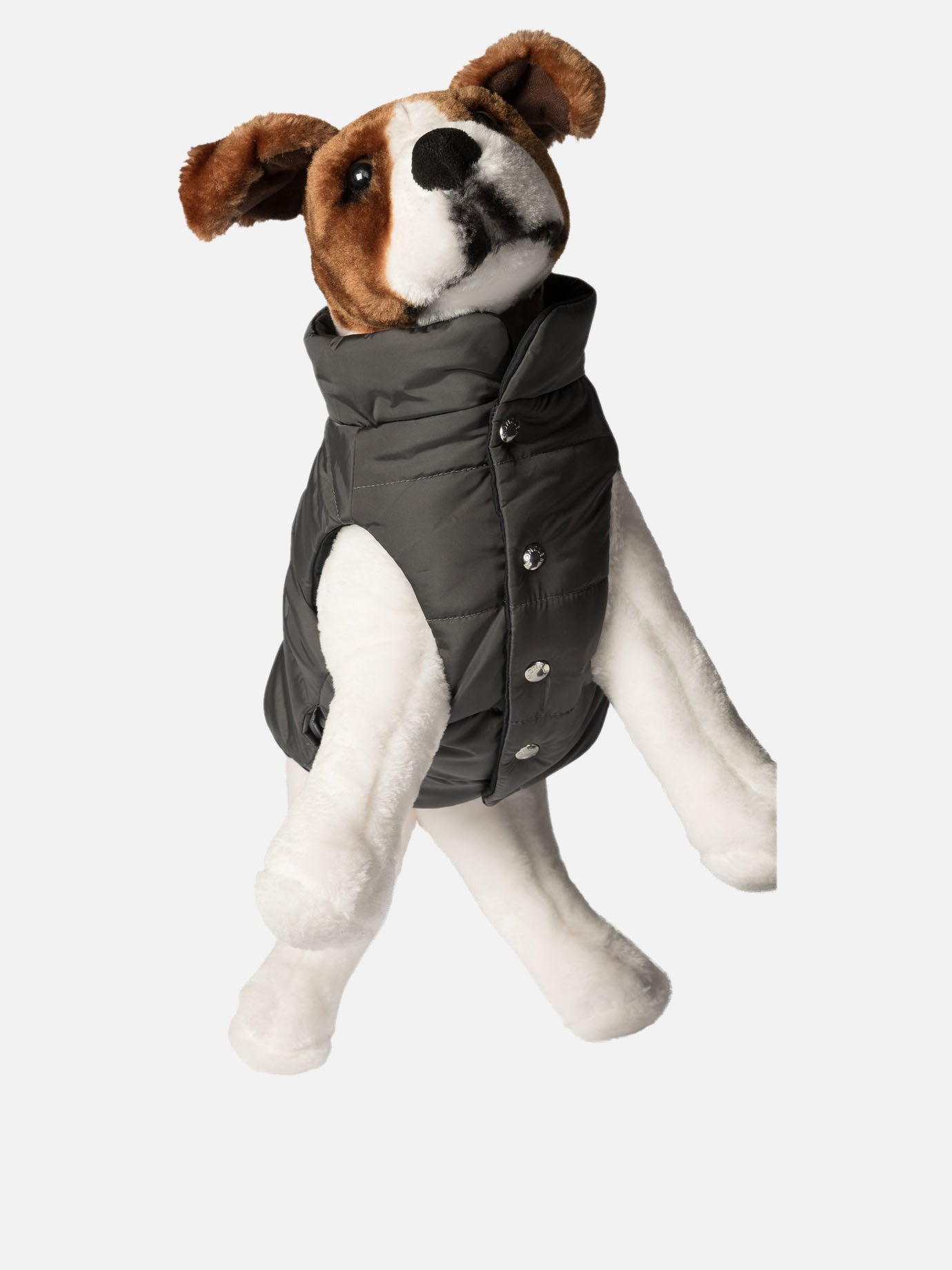 Dog vest