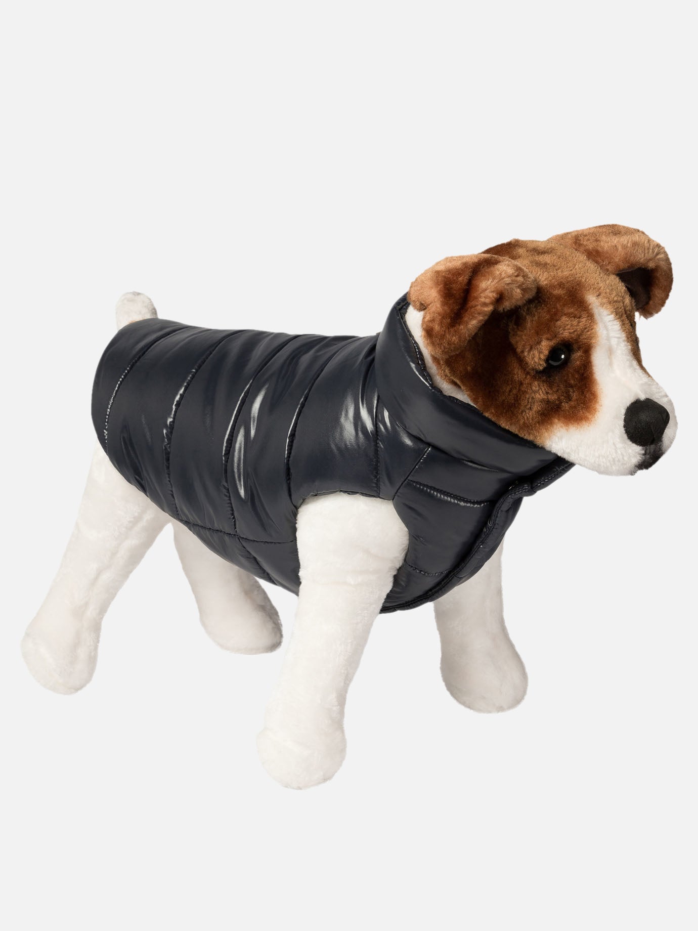 Moncler Poldo Dog vest Blue