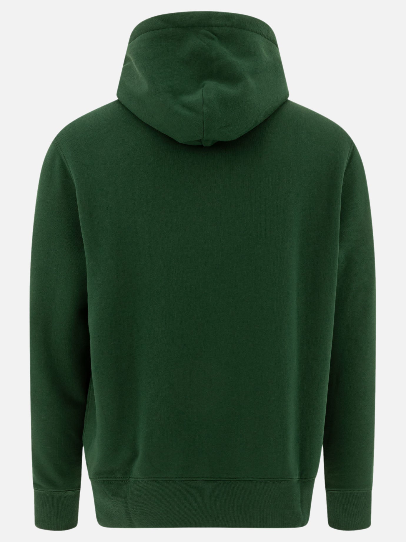 Polo Ralph Lauren "Polo Bear" hoodie Green