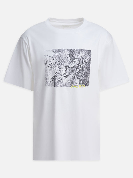 Crewneck t-shirts Graphics  White - Arc'teryx Men | PDP | VIETTI Online Store 
