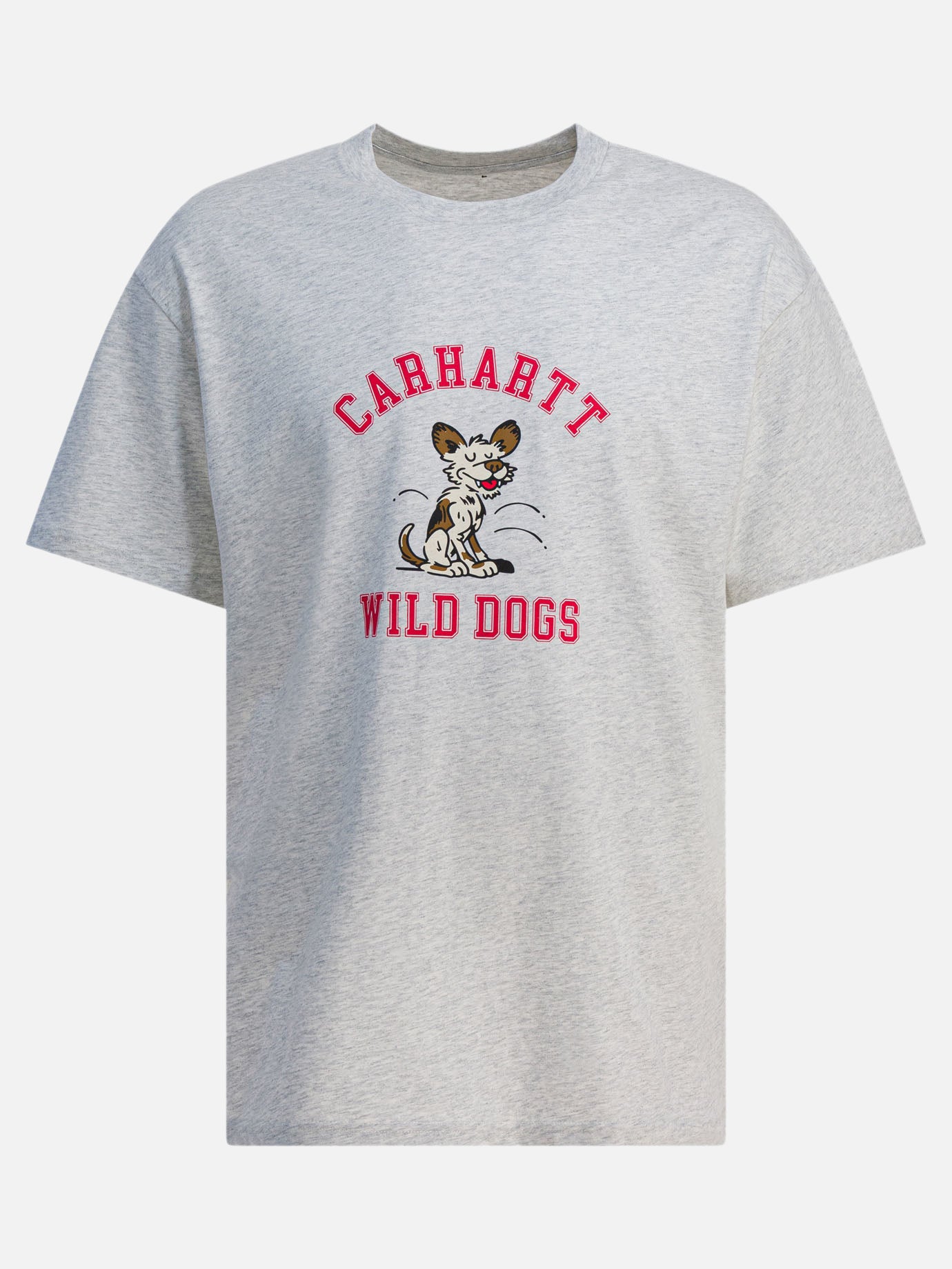 T-shirt girocollo Print  Grigio - Carhartt WIP Uomo | PDP | VIETTI Online Store | thumbnail