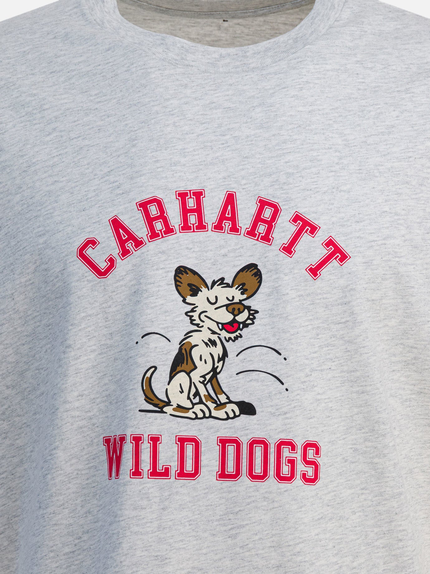 T-shirt girocollo Print  Grigio - Carhartt WIP Uomo | PDP | VIETTI Online Store | Zoom-Modal_3
