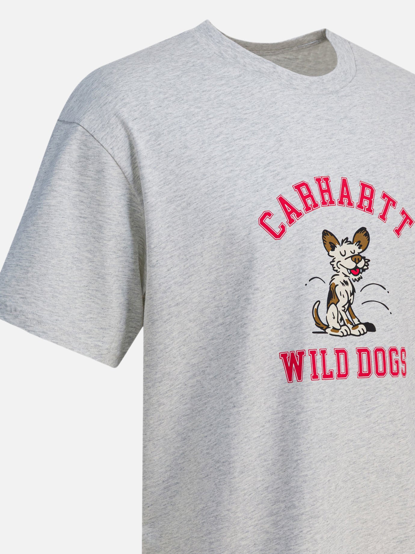 T-shirt girocollo Print  Grigio - Carhartt WIP Uomo | PDP | VIETTI Online Store | thumbnail_4