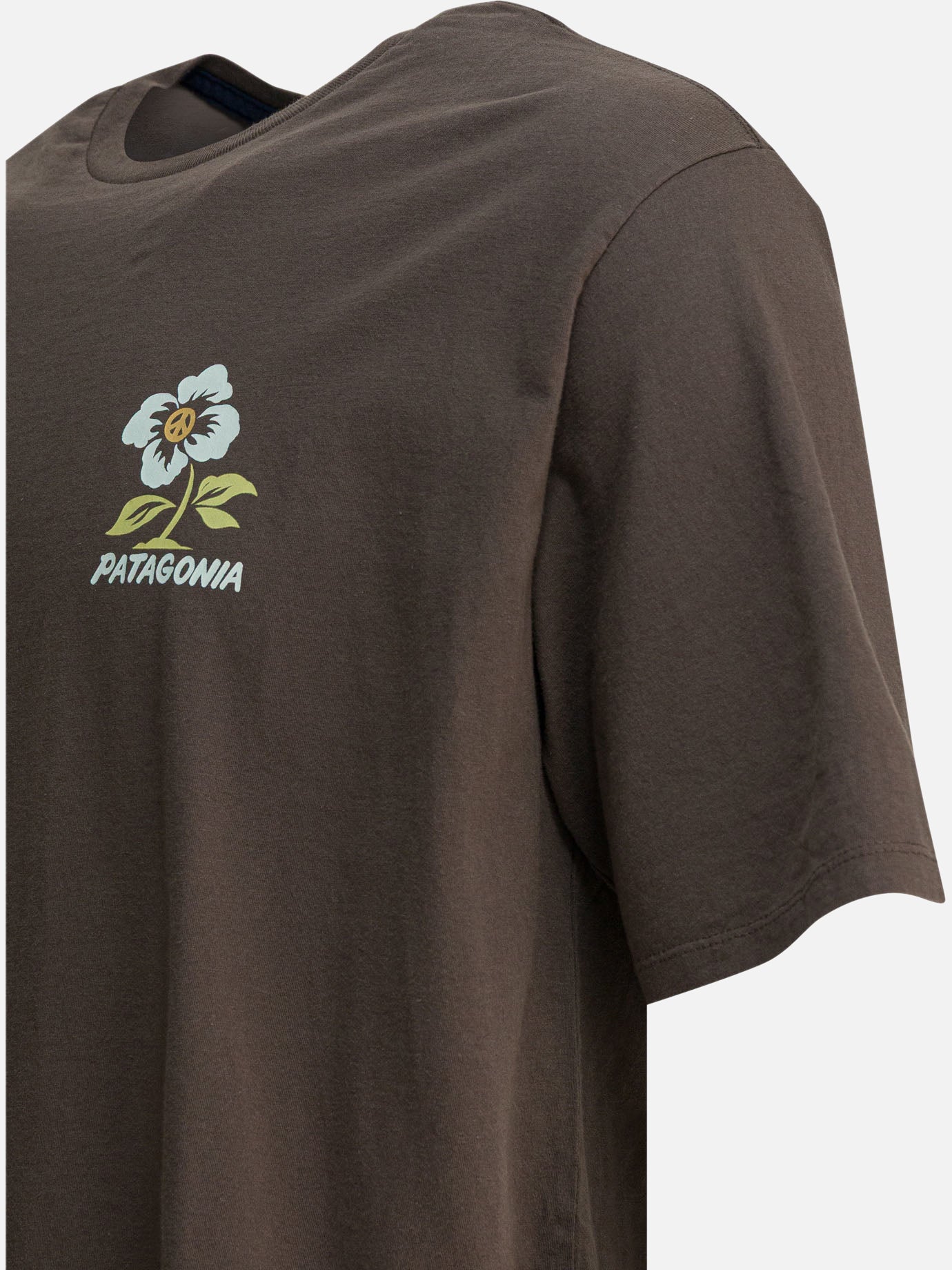 T-shirt girocollo Graphics  Marrone - Patagonia Uomo | PDP | VIETTI Online Store | Zoom-Modal_4
